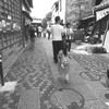 残暑厳しい初秋の頃にわが町をそぞろ歩く⑸