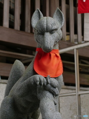 凜々しい・・・