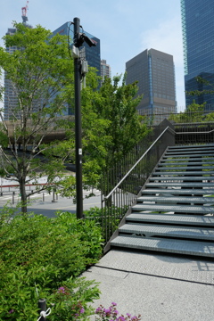 P1001676