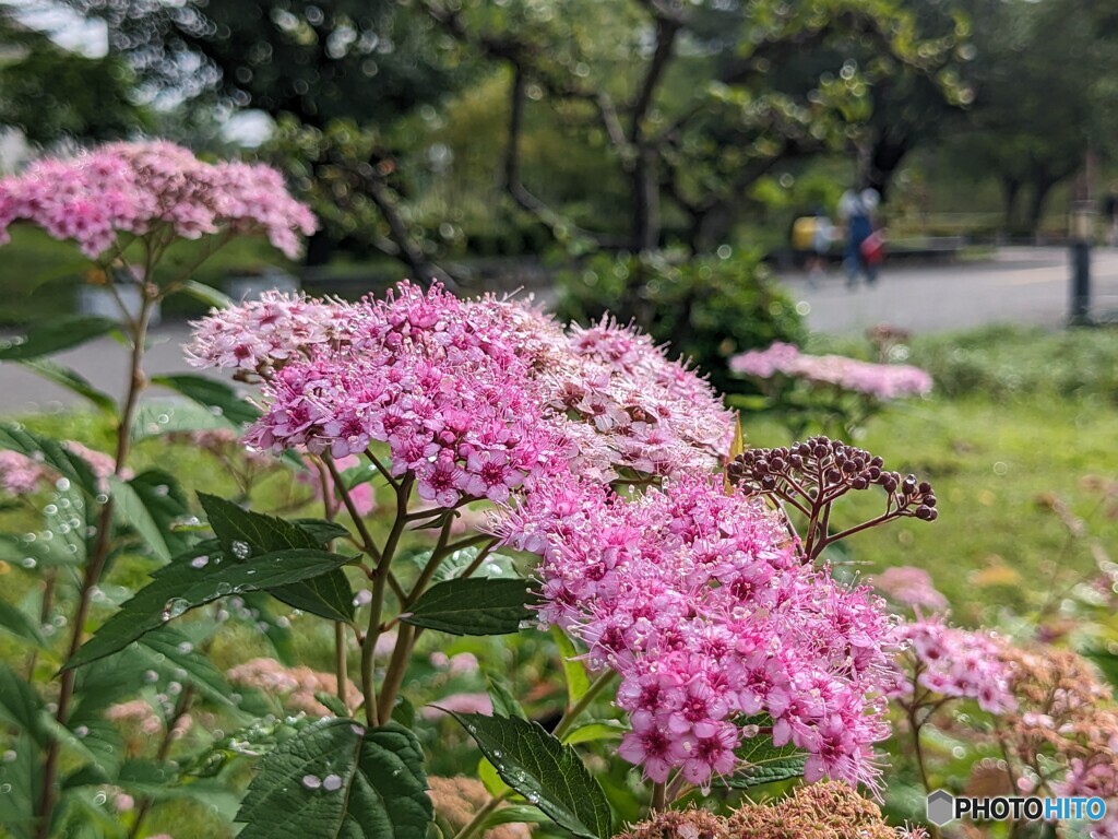今朝の下野