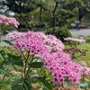 今朝の下野