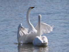 抱きしめたい！