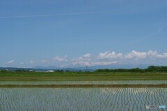 私的に心が和む風景 2/2