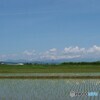 私的に心が和む風景 2/2