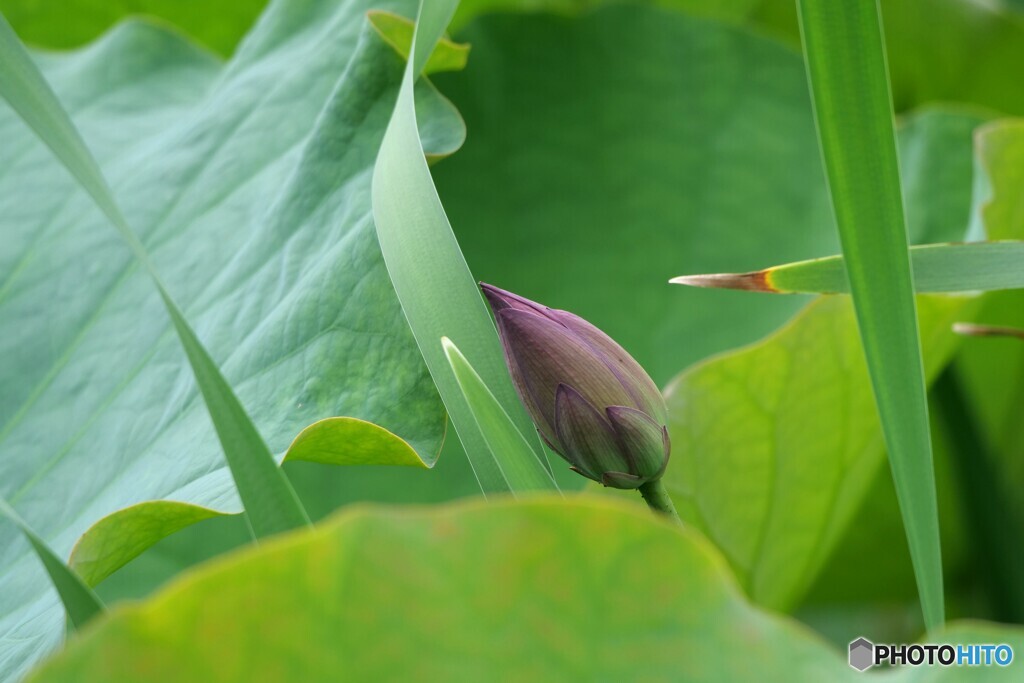 新しい息吹
