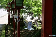 秋の初風
