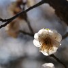 ２月の思い出