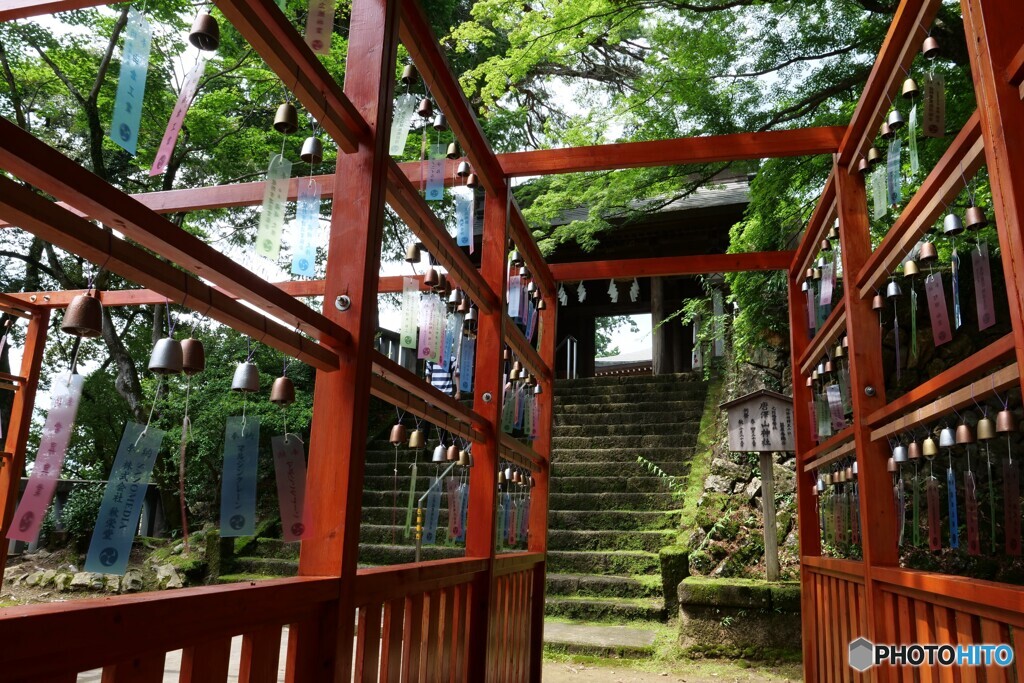 涼しい音を聞いてきました 2
