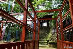 涼しい音を聞いてきました 2