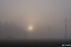 霧立ち込める朝 1/2
