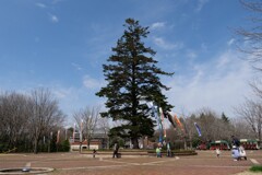広場