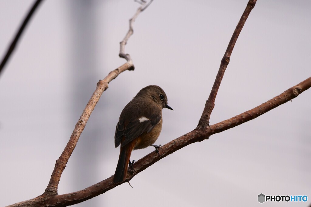 帰る心の準備はできましたか