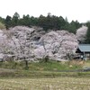 山のお寺に桜咲く