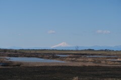 昨日の富士山