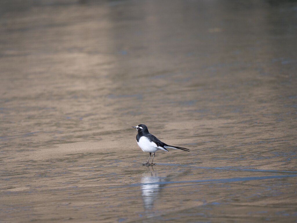 薄氷を踏む思い