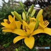 梅雨の合間に 2/2