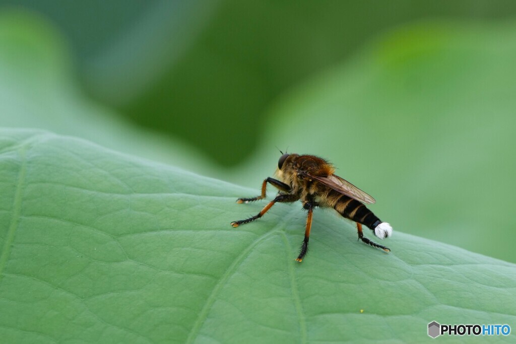 休息