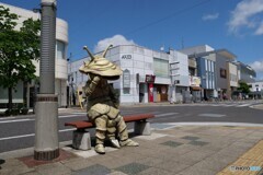 【散策していたら…】食事中のカネゴンがいた
