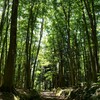 最後の夏の様相
