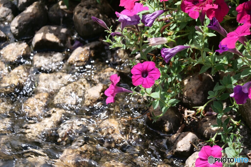 2025年の振返り 9/12