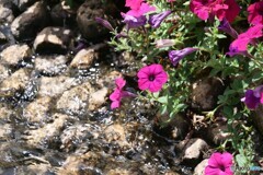 2025年の振返り 9/12