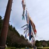 公園と鯉のぼり