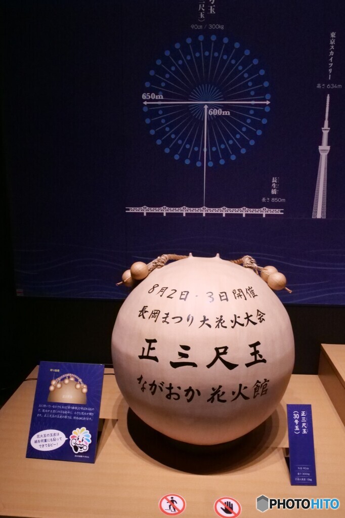 芸術作品の卵