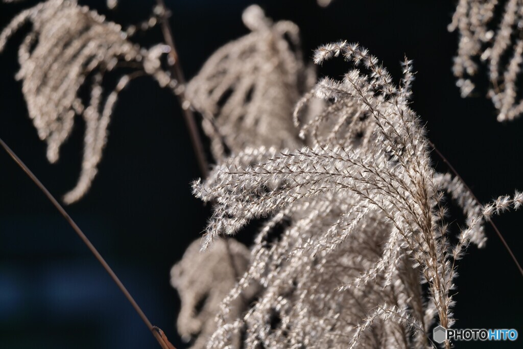 2025年の振返り 11/12 