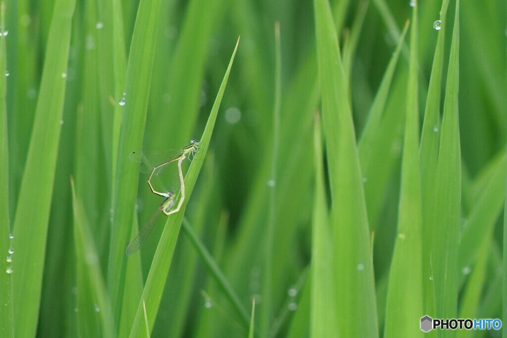 2025年の振り返り 2/12