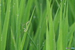 2025年の振り返り 2/12