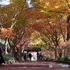 2024年の振り返り  12月