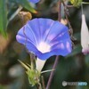 夏の余韻