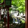 風鈴の音色