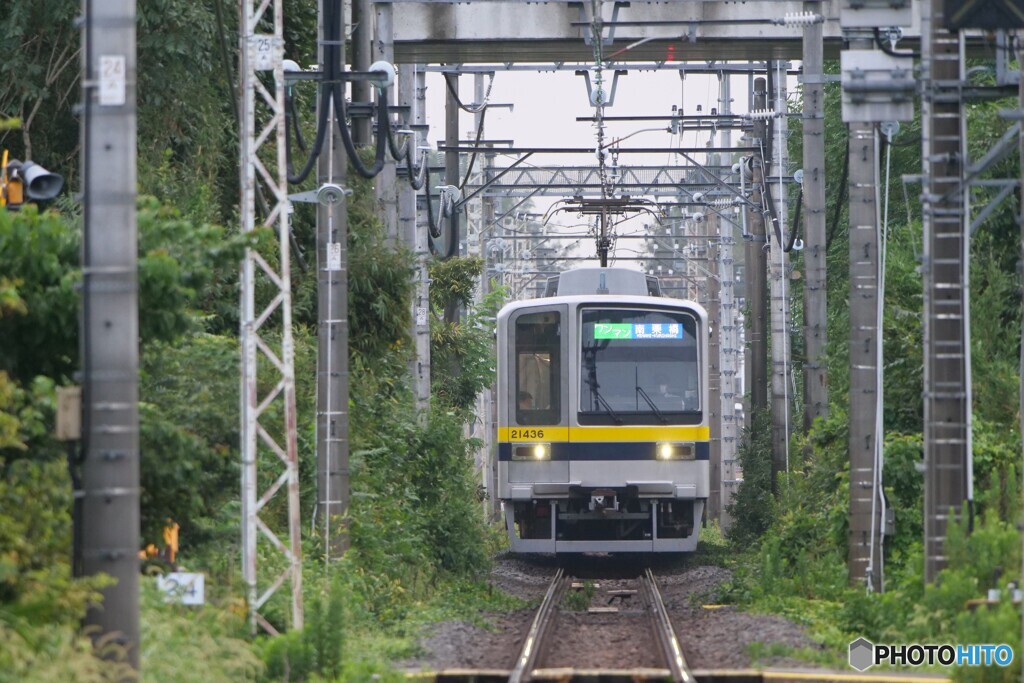 秋の全国交通安全運動