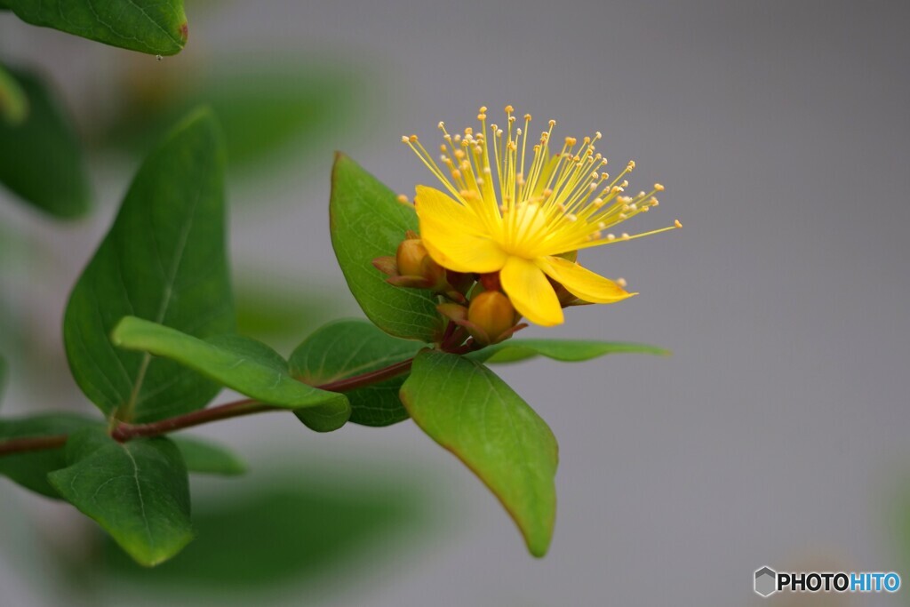 2025年の振り返り 3/12