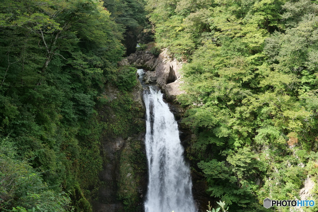 滝