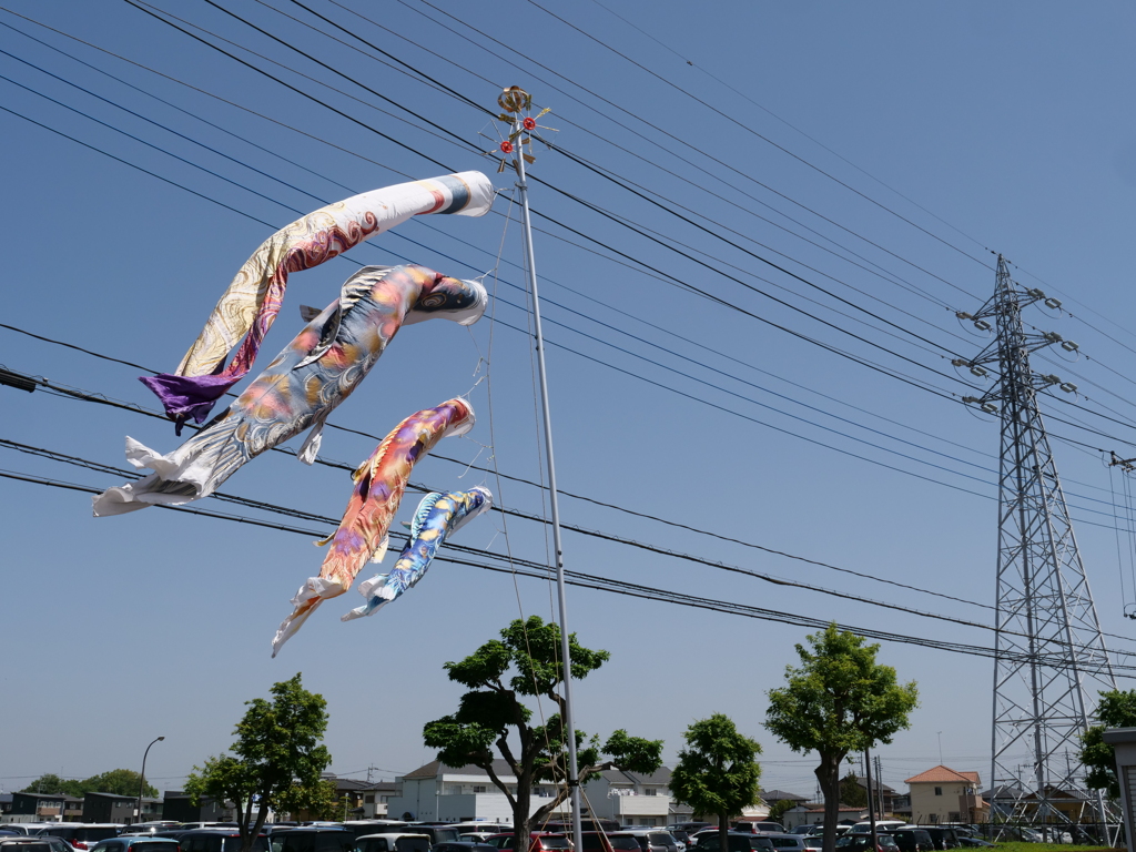 もっと高いところで泳いでみたいな