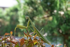 目線が大事です