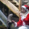 カワウソ君とサンタさん