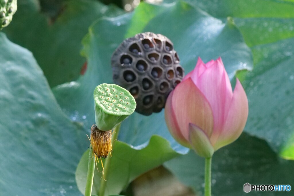 現在 未来 過去