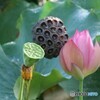現在 未来 過去
