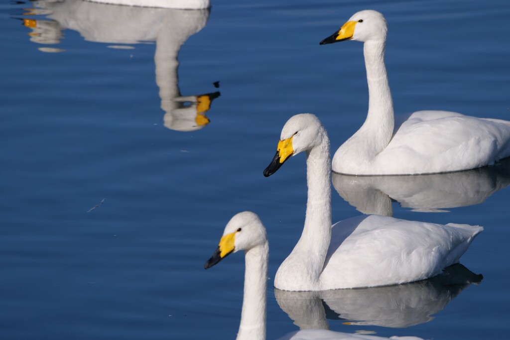ちょっと　怖いんだけど