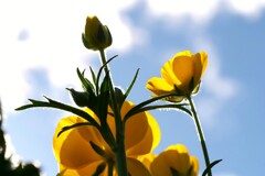 ２月の思い出