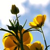 ２月の思い出