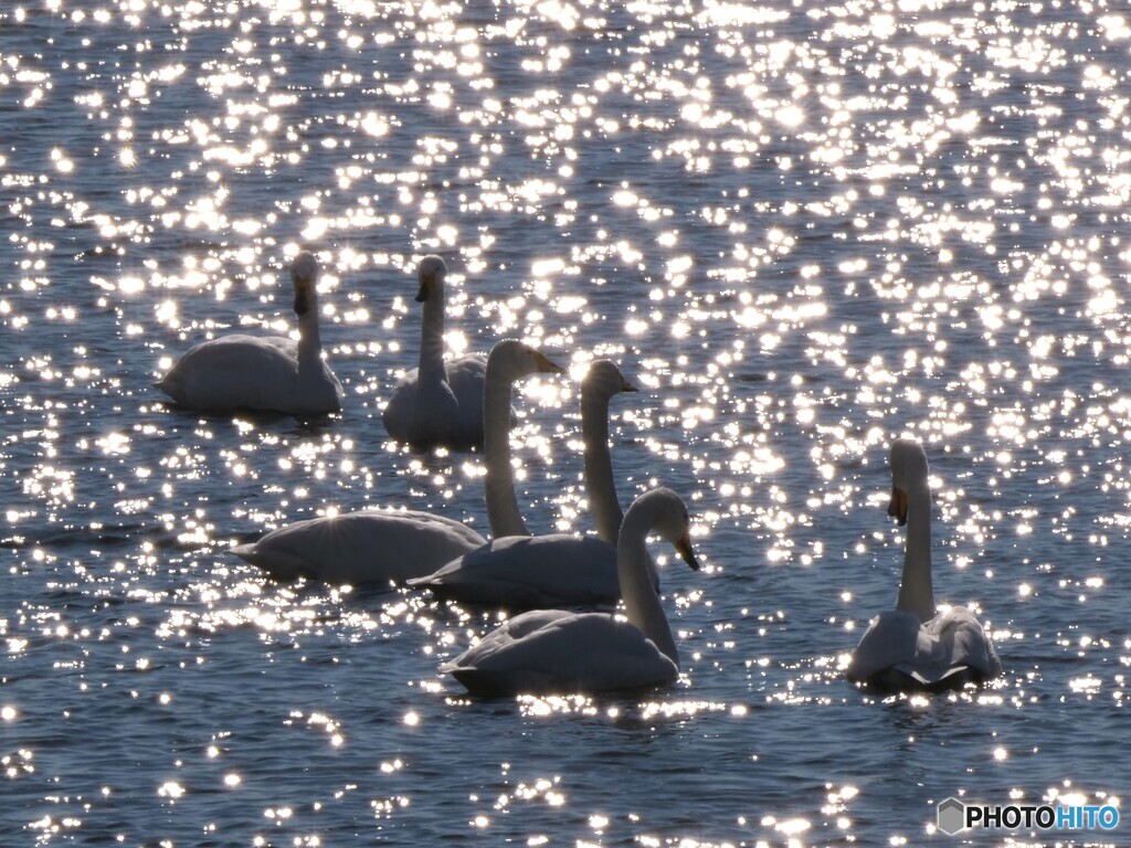 きらめきの中に