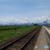 私的に心が和む風景 1/2