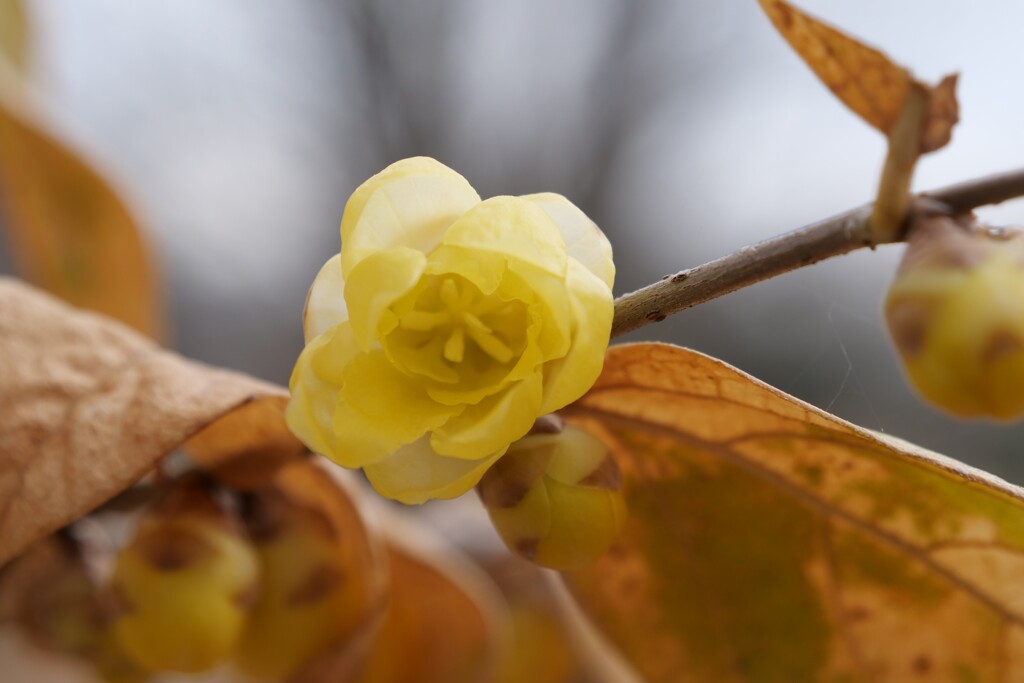 そっとのぞいて見てごらん