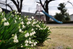 日曜日の公園にて