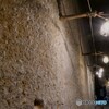 一隅を照らす