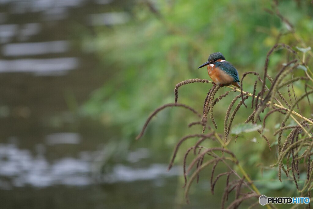 お久しぶりです 2/2